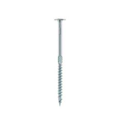 Eurotec Paneltwistec AG Tellerkopschroef verzinkt, bolkop met freesribben 6.0x200mm Torx40 doos A 100 stuks